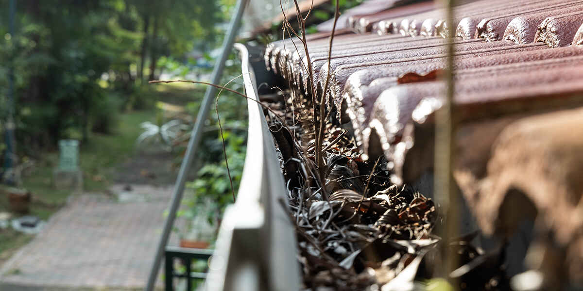 can clogged gutters cause roof leaks